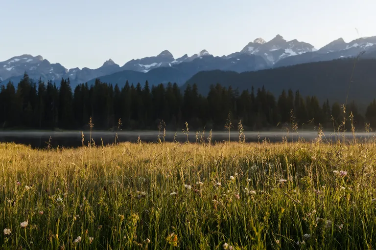 Test image: an alpine meadow at sunrise