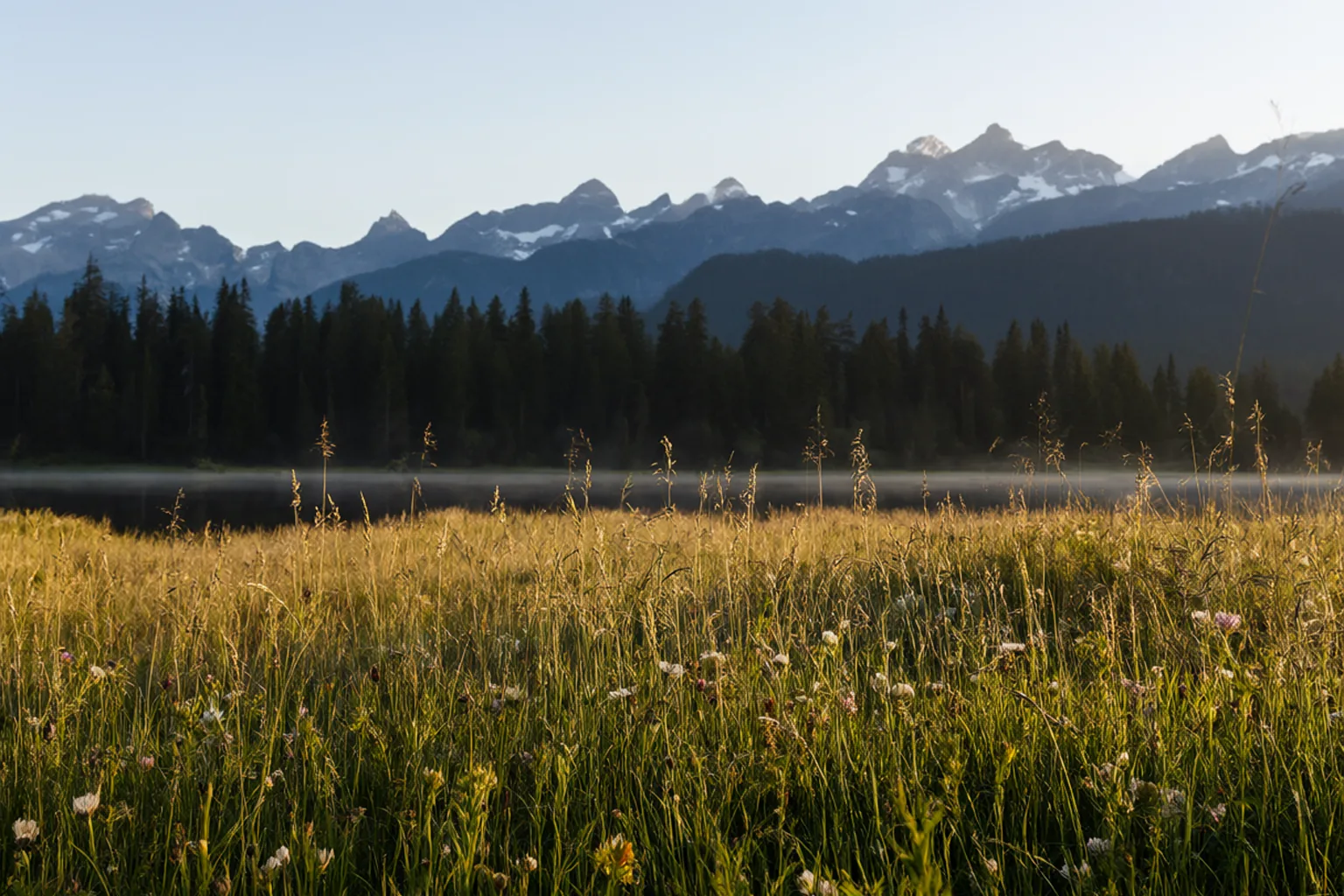 A generated photograph of an alpine meadow at sunrise with a lake, forest and mountains